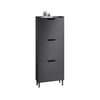 SoBuy FSR151-H-SCH Armoire à Chaussures Ultra-Slim 19 cm | 3 Abattants, 6–8 Paires, Noir