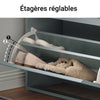 SoBuy FSR165-HG Armoire à Chaussures avec Coussin Rembourré, Coffre 2 Abattants, Capacité 30 kg pour Entrée – Gris