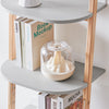 SoBuy HSTR02-K-HG Étagère Échelle, Bibliothèque à 4 Niveaux, Étagère de Rangement, Meuble de Rangement sur Pieds, Bibliothèque Murale, pour Bureau, Salon, Chambre, Cuisine, 44x39x169cm, Gris