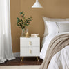 SoBuy FBT115-Wx2 Lot de 2 Table de Chevet - Table de Nuit avec 2 tiroirs, Table d'appoint pour Chambre à Coucher - Meuble de Rangement Moderne, Blanc L40 x P40 x H47 cm