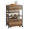 SoBuy FKW118-PF Desserte de Cuisine à roulettes – Chariot de Rangement avec 2 Tiroirs et Étagère, Petit Meuble Cuisine Bas In