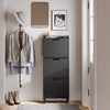 SoBuy FSR151-H-E-SCH Armoire à Chaussures Ultra-Slim 19 cm – 3 Abattants, Noir Mat avec LED