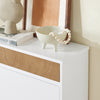 SoBuy FSR205-WN Meuble à Chaussures Gain de Place – Entrée Étroite – 61x26x91 cm Blanc et Naturel