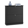 SoBuy FSR99-SCH Meuble à Chaussures Ultra-Slim 18cm, 2 Abattants, 8-10 Paires, Charge 30 kg – 76x18x78 cm, Noir
