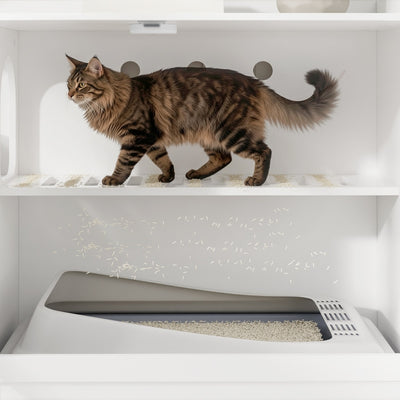 SoBuy HAT02-L-E-W Meuble Litière pour Chat Blanc avec Tiroir – Cache-Litière avec Griffoir Sisal Intégré, 2 Portes et Étagères – 98×60×80 cm, Charge 101 kg