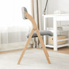 SoBuy FST92-N Chaise Pliante Rembourrée en Bois – Gain de Place – Gris